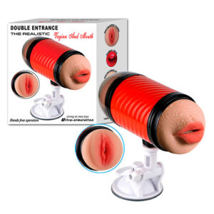 Double Entrance The Realistic AEL-1012